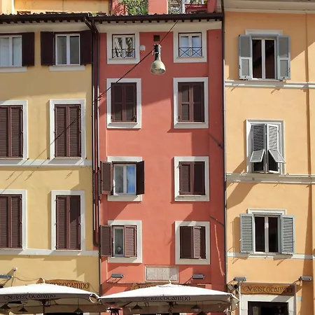 Fiori D'aria Studio Rome