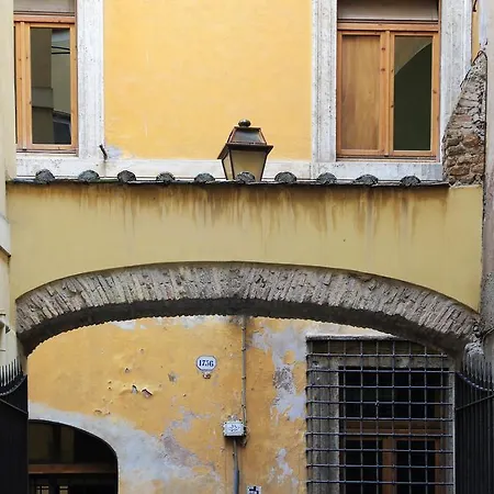 Fiori D'aria Studio Rome